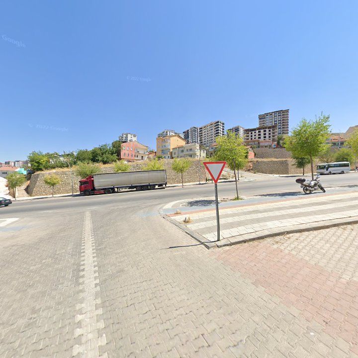 Fotoğraf 9