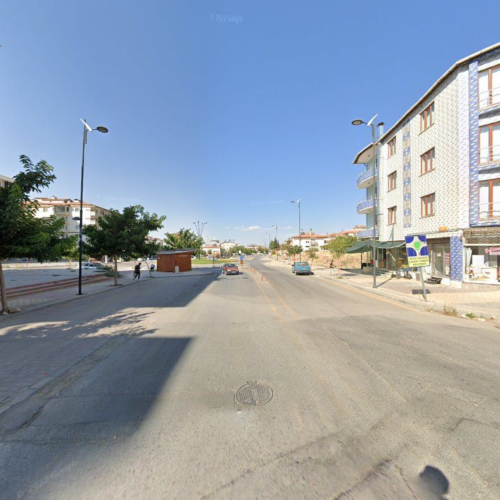 Fotoğraf 9