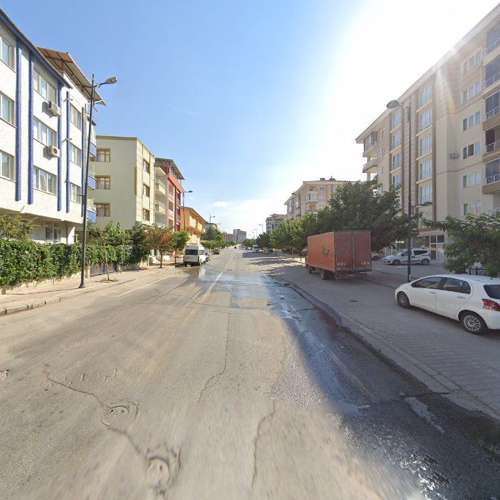 Fotoğraf 11