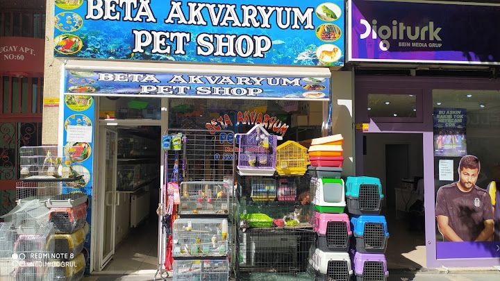 Ünlü Ciğköfteci Bayram Usta
