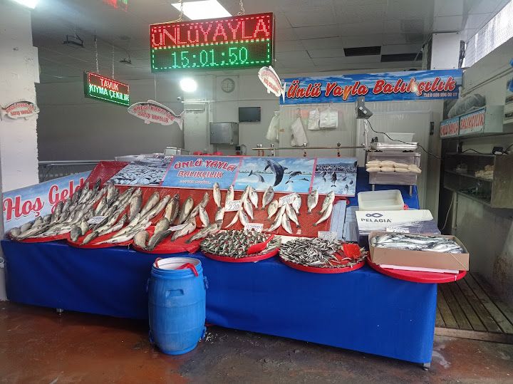 Ünlü Yayla Balıkçılık