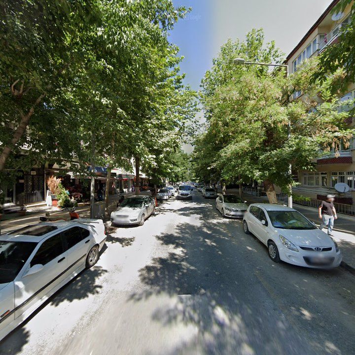 Fotoğraf 9