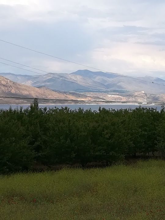 Yelken Kavurma&balık