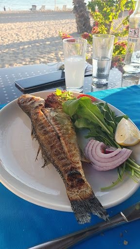 Fotoğraf 24