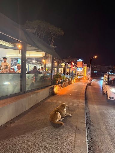 Fotoğraf 18
