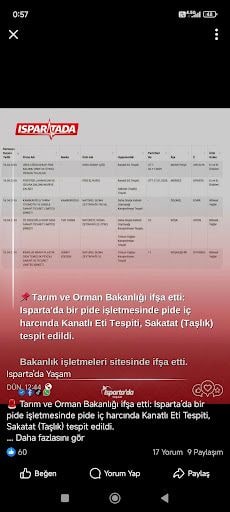 Fotoğraf 15