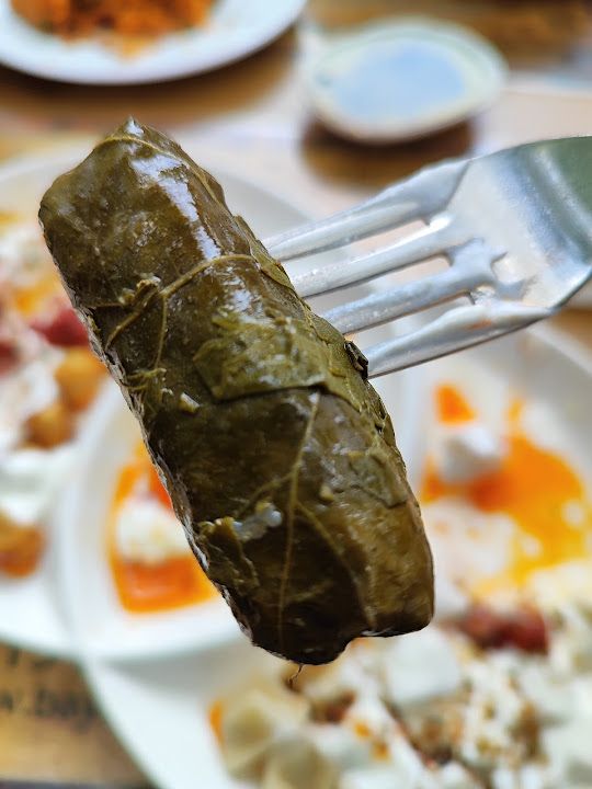 Fotoğraf 59
