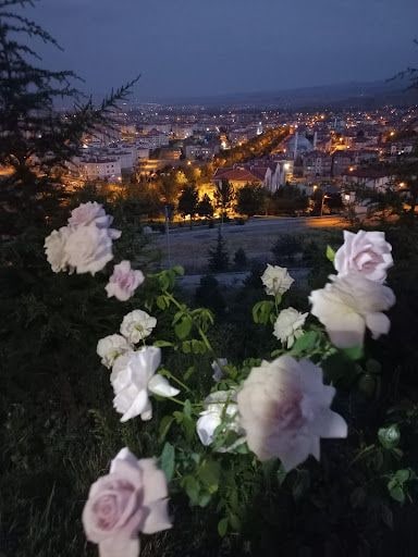 Yorum fotoğrafı 3