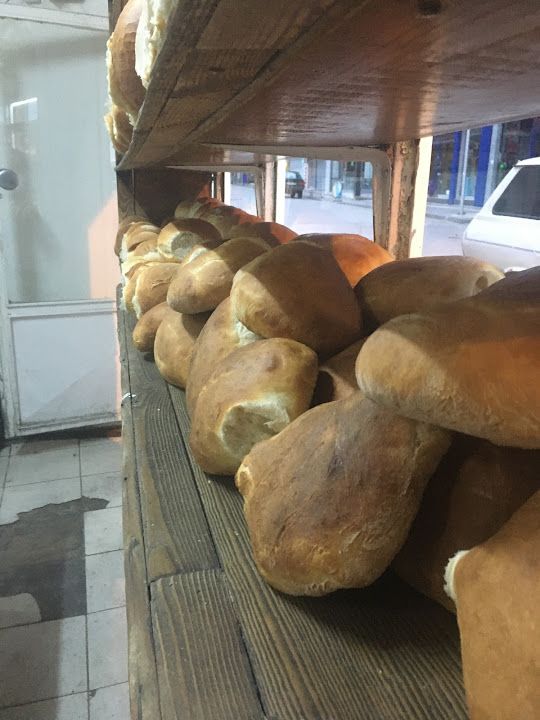 Fotoğraf 17