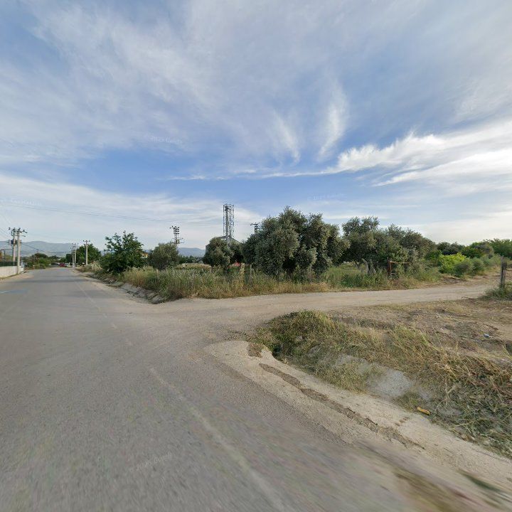 Fotoğraf 8