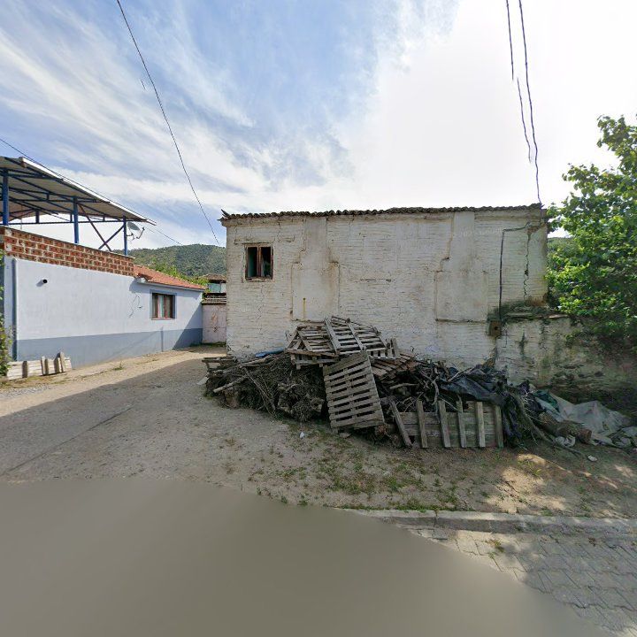 Çankaya Kıraathanesi Zeytinova