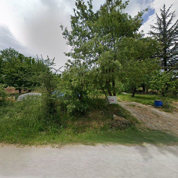 Fotoğraf 10