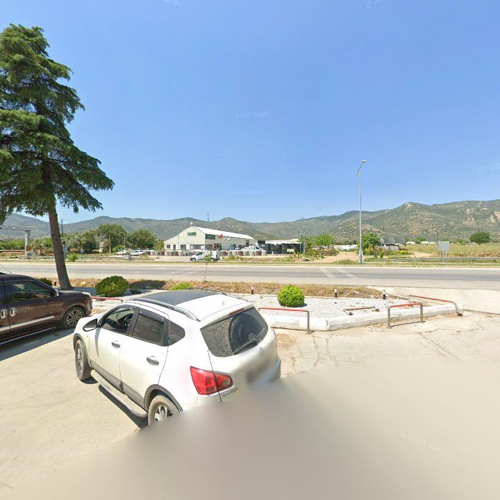 Fotoğraf 7