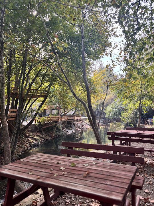 Dere beyi restoran