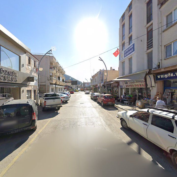 Fotoğraf 7