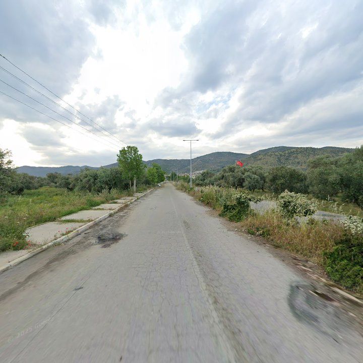 Fotoğraf 7