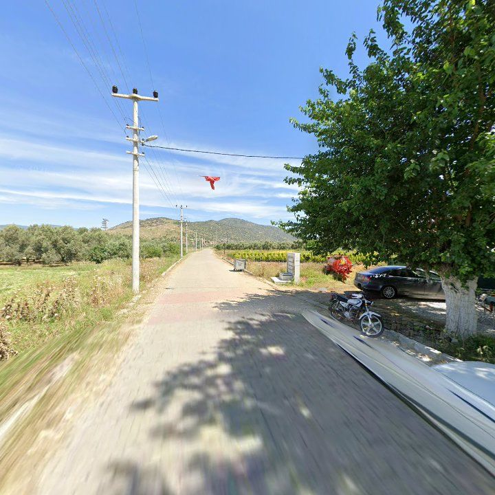 Fotoğraf 6