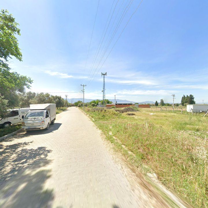 Fotoğraf 4