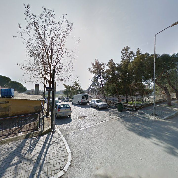 Fotoğraf 8