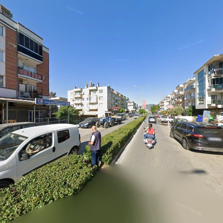 Fotoğraf 8