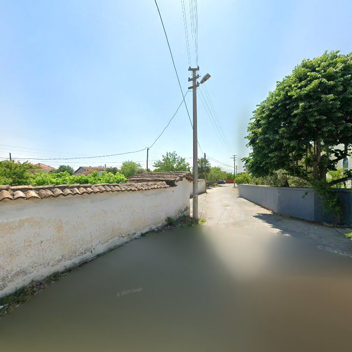 Fotoğraf 8