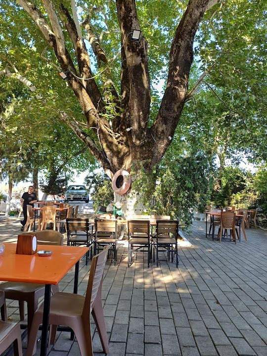 Kafkas Aıle Çay Bahçesı