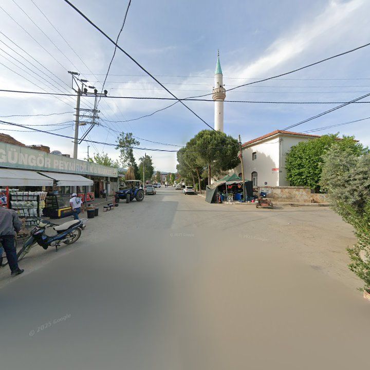 Fotoğraf 7