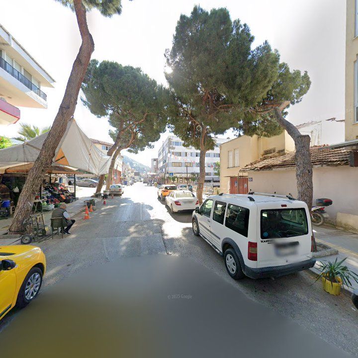 Fotoğraf 9
