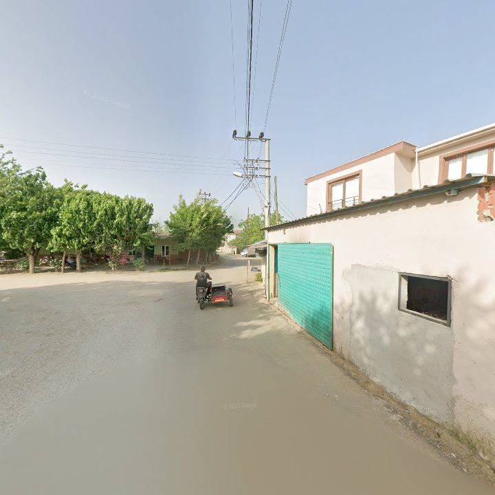 Fotoğraf 3