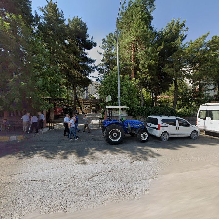 Fotoğraf 3