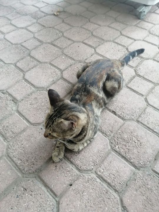 Yorum fotoğrafı 1