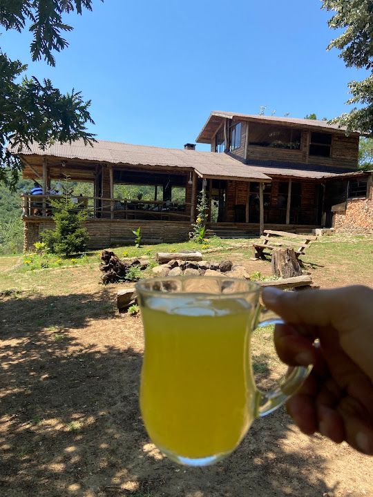 Fotoğraf 46