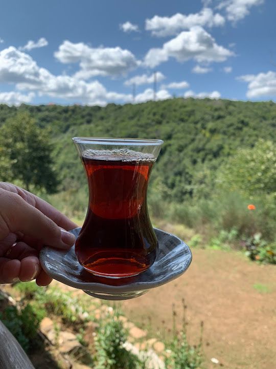 Fotoğraf 30