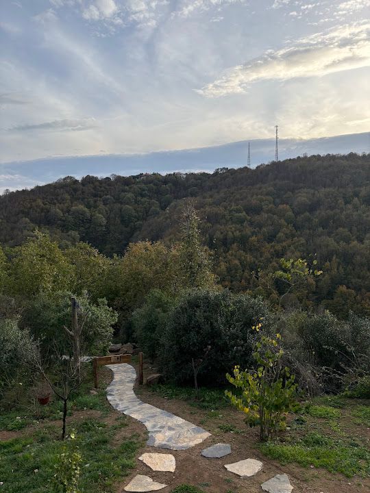 Fotoğraf 77