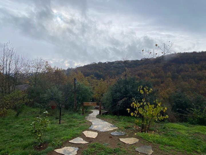 Fotoğraf 73