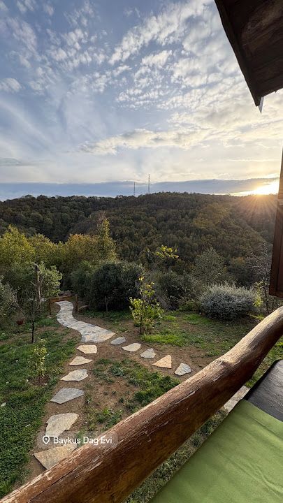 Fotoğraf 76