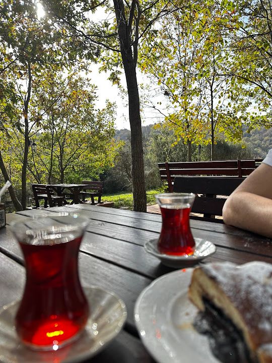 Fotoğraf 17