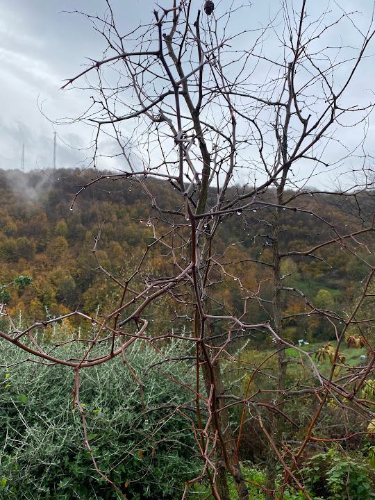 Fotoğraf 72