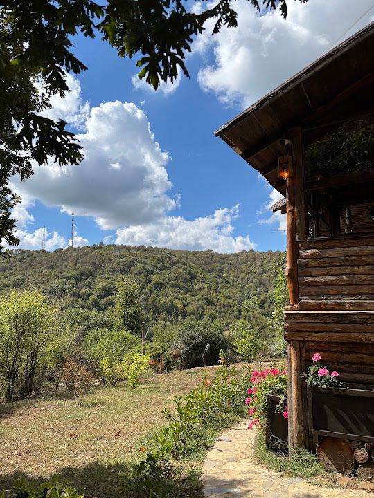Fotoğraf 79