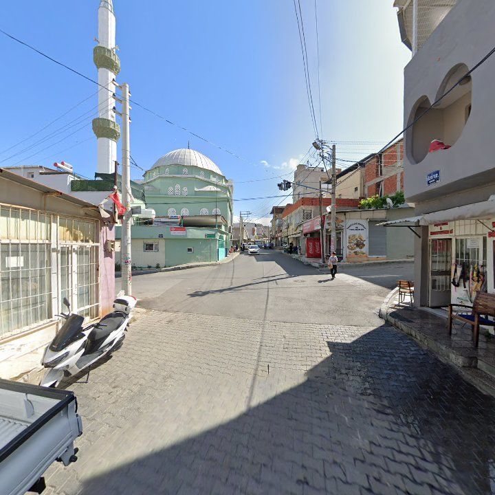 Fotoğraf 5
