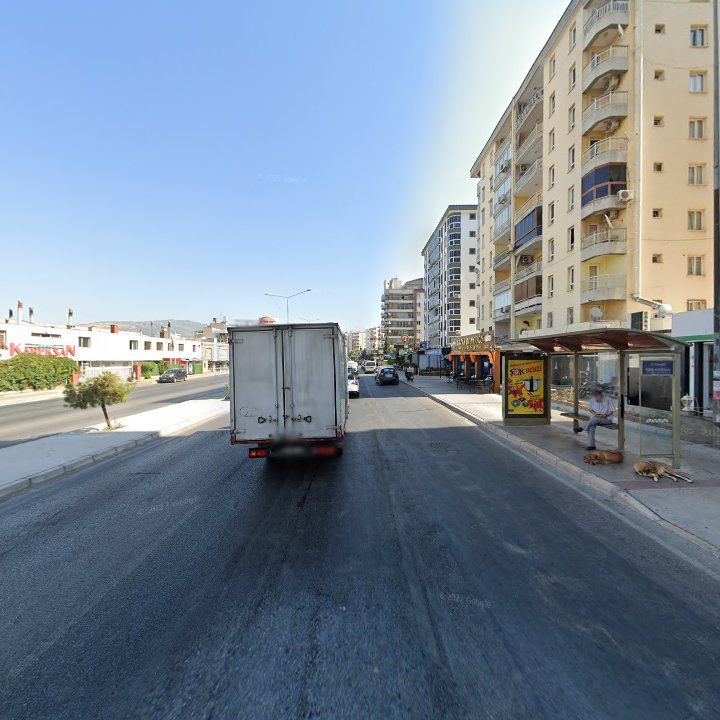 Fotoğraf 8