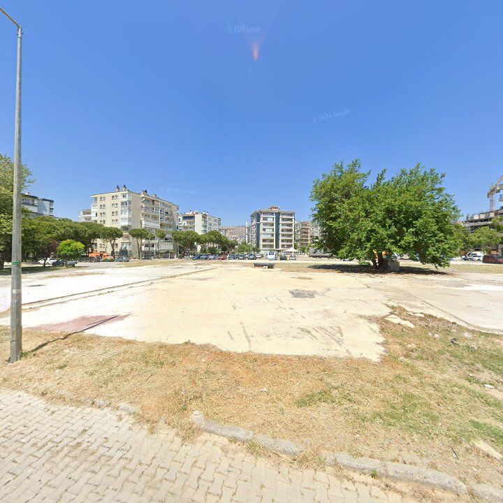 Fotoğraf 10