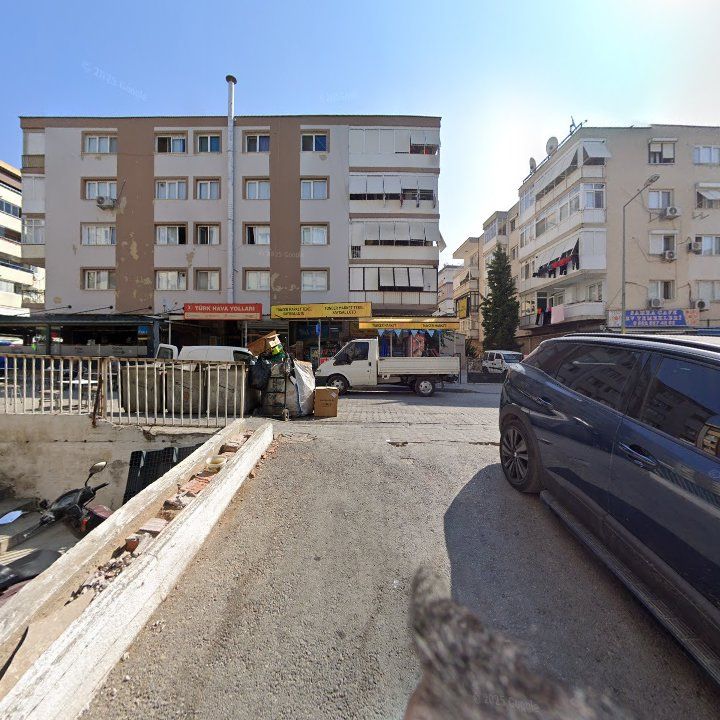 Fotoğraf 6