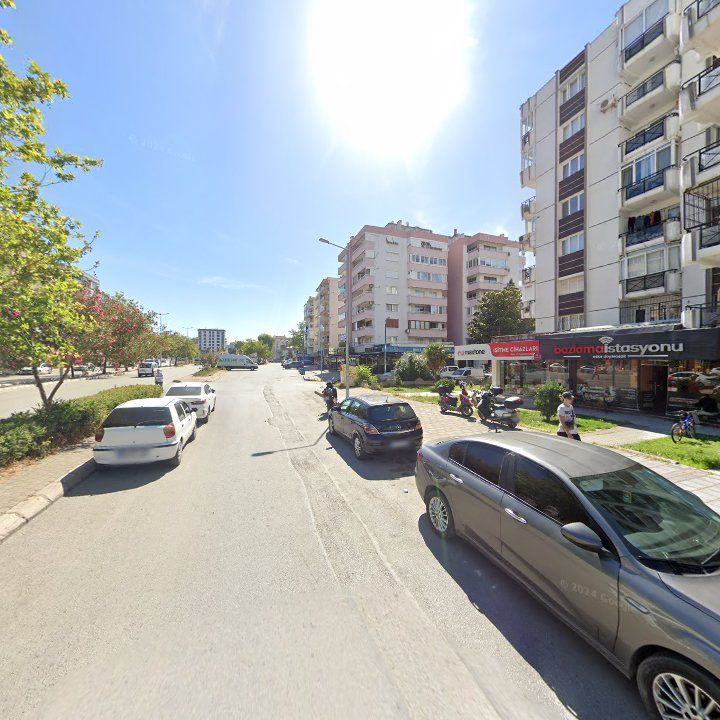 Fotoğraf 8