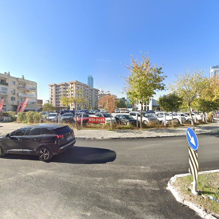 Fotoğraf 12
