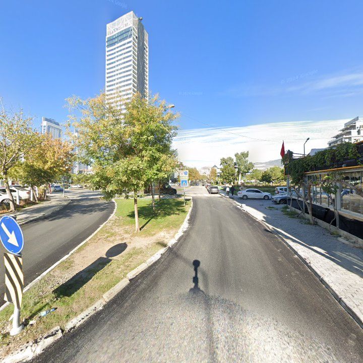 Fotoğraf 13