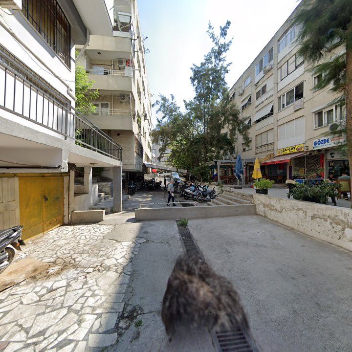 Fotoğraf 6