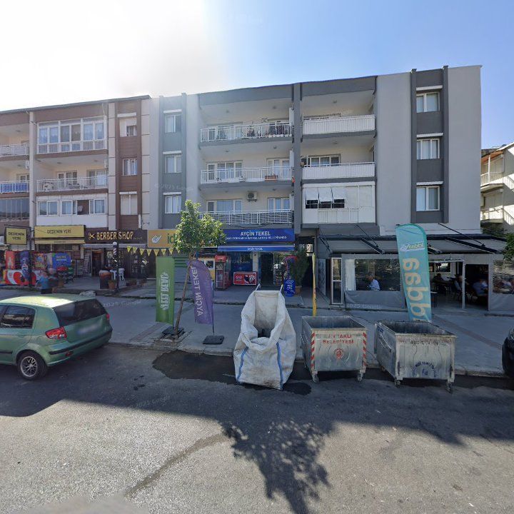 Ayçin Tekel 2