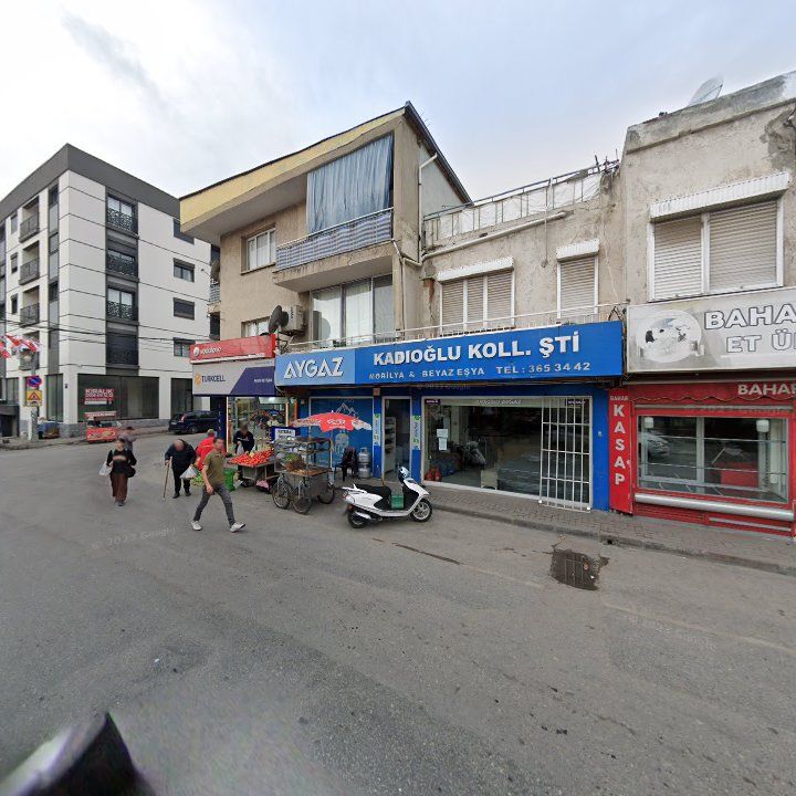 Fotoğraf 7