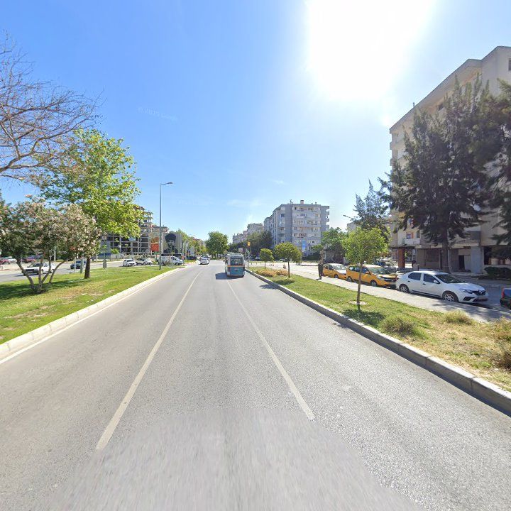 Fotoğraf 9